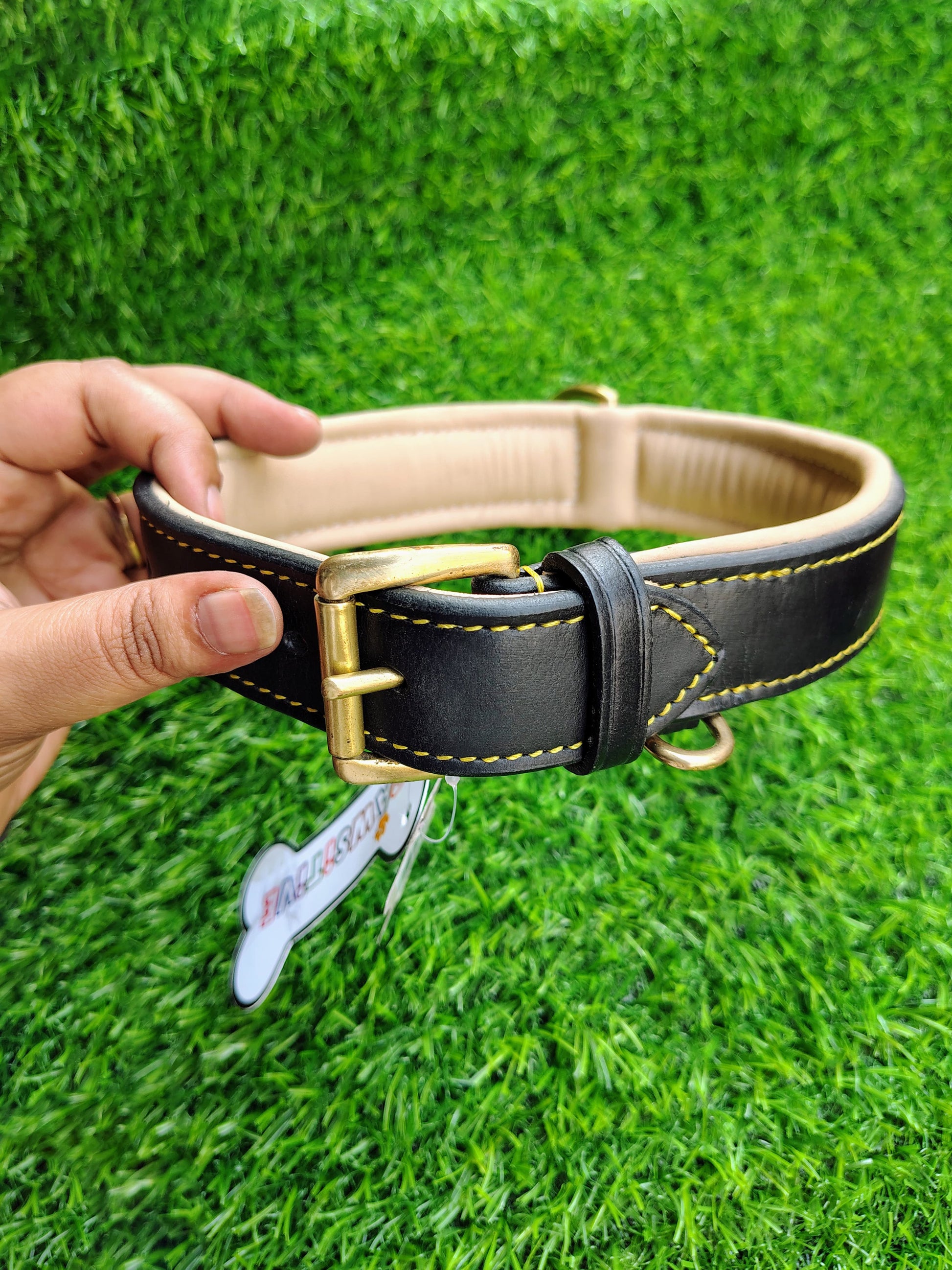 Padded Dog Collar