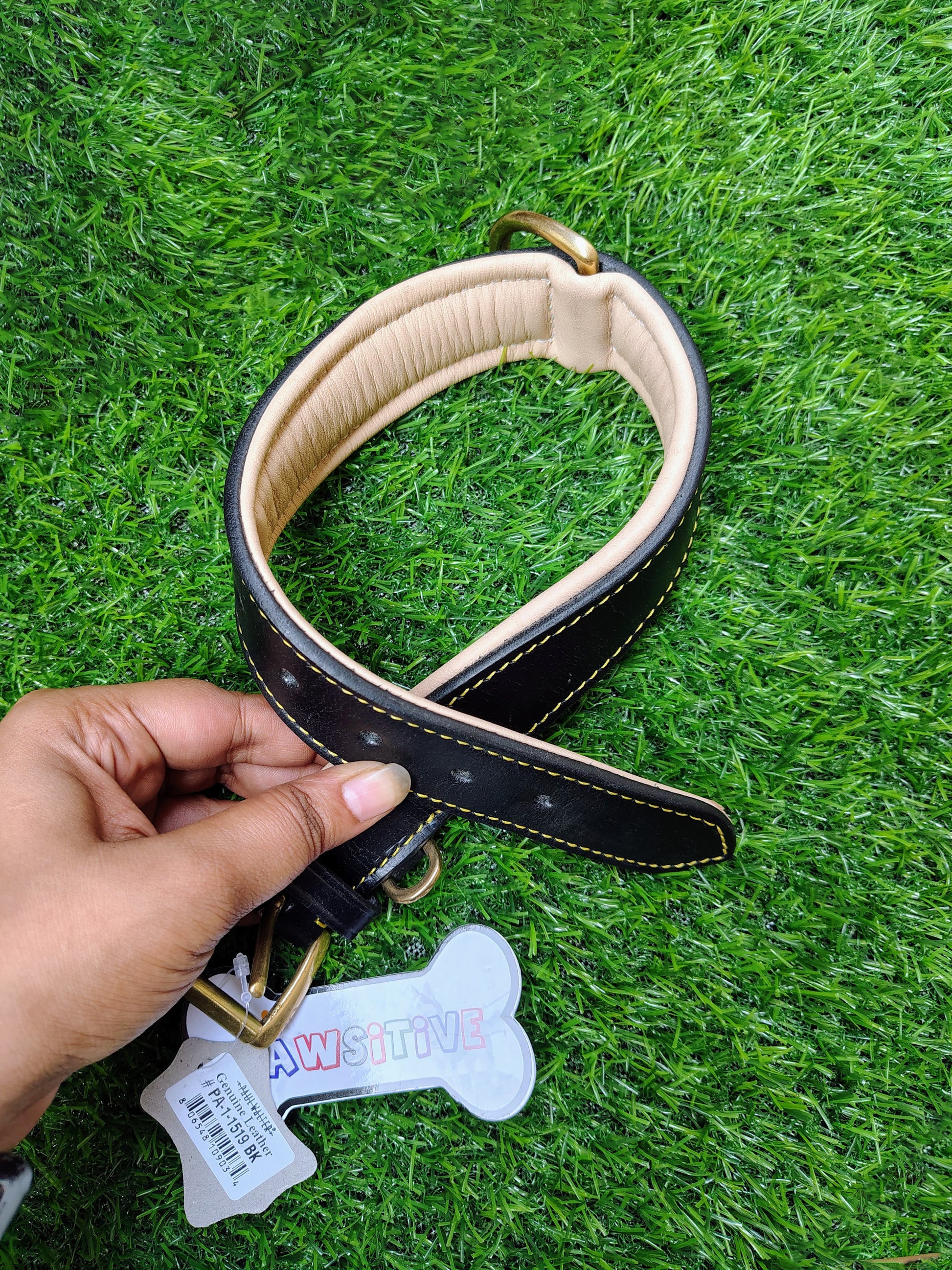 Padded Dog Collar