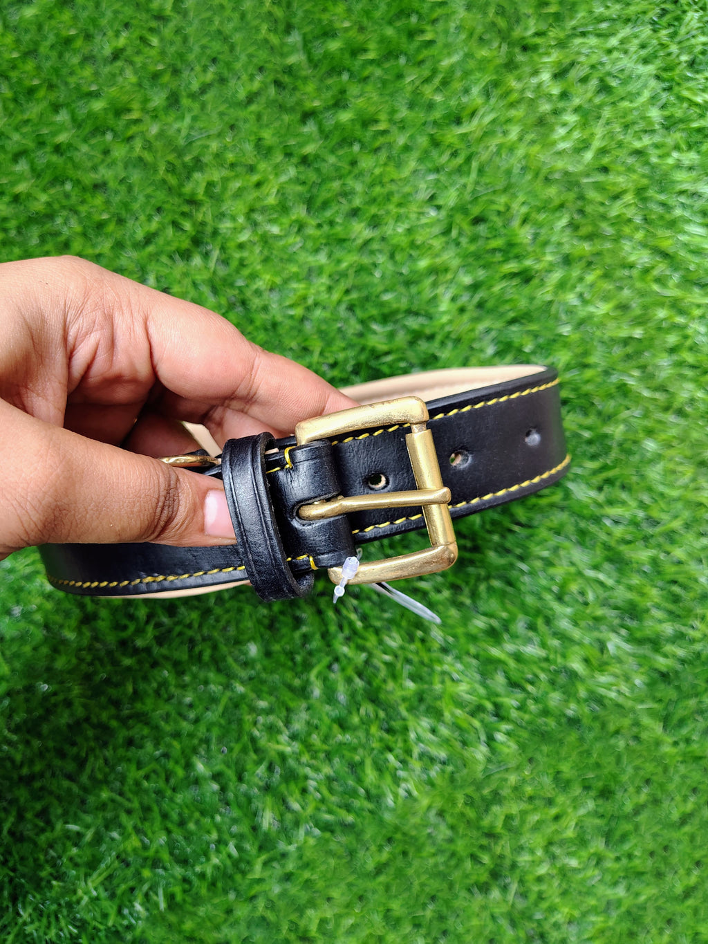 Padded Dog Collar