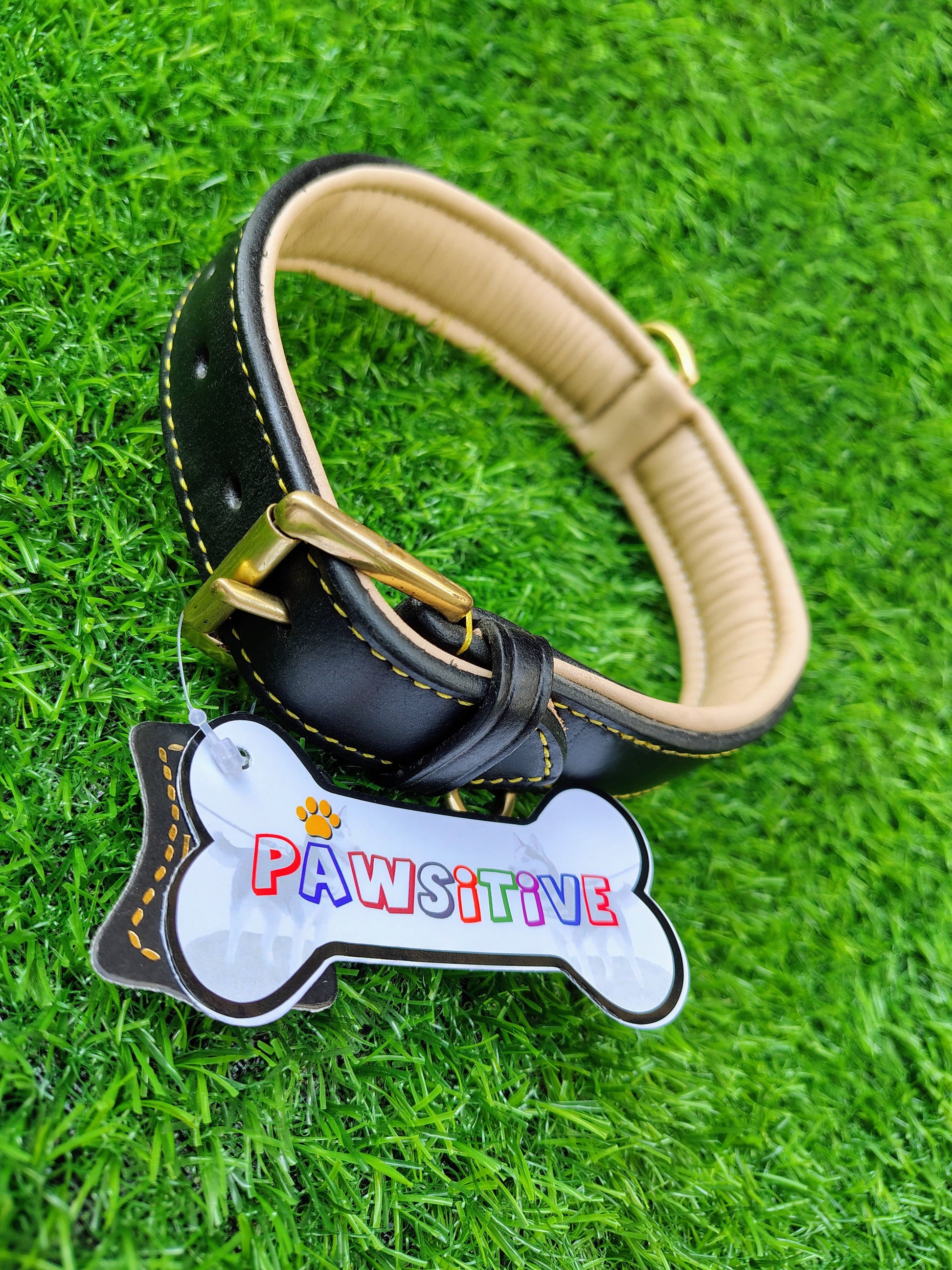 Padded Dog Collar