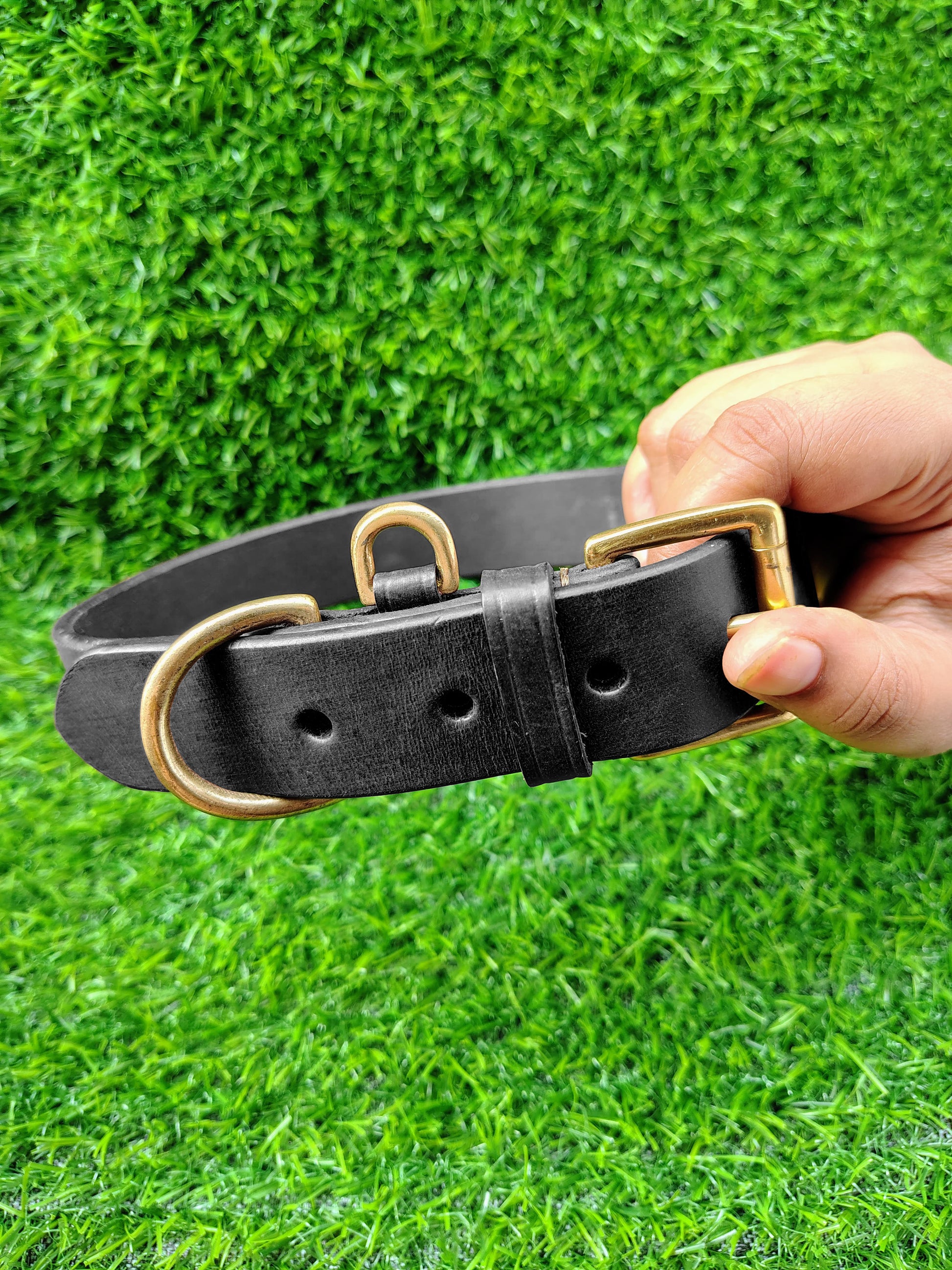 Harness Dog Collar