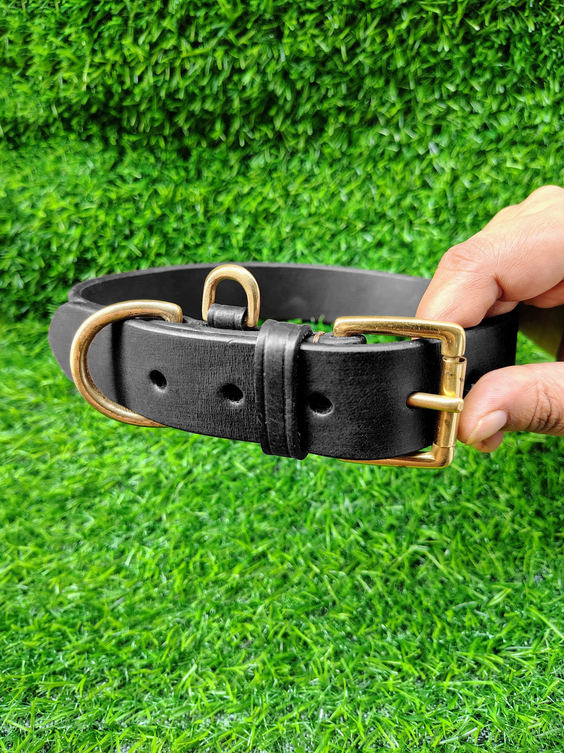 Harness Dog Collar
