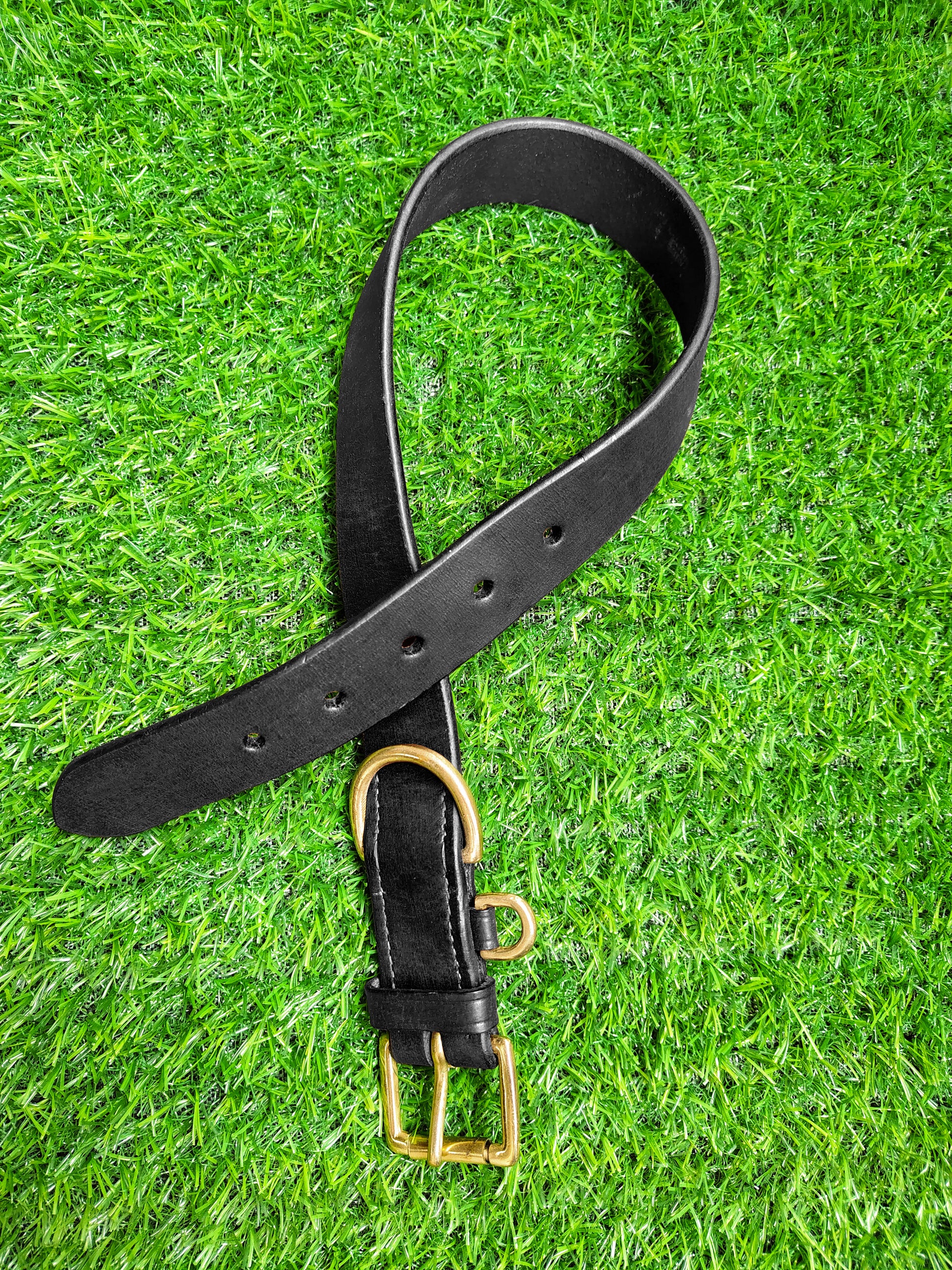 Harness Dog Collar
