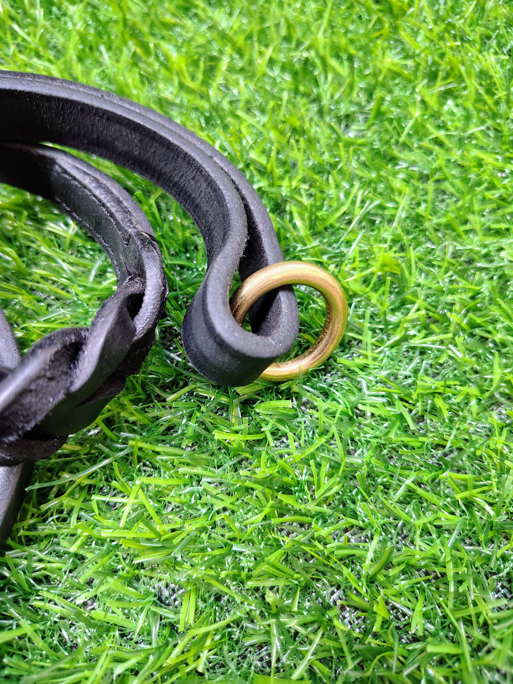 Dog Leash