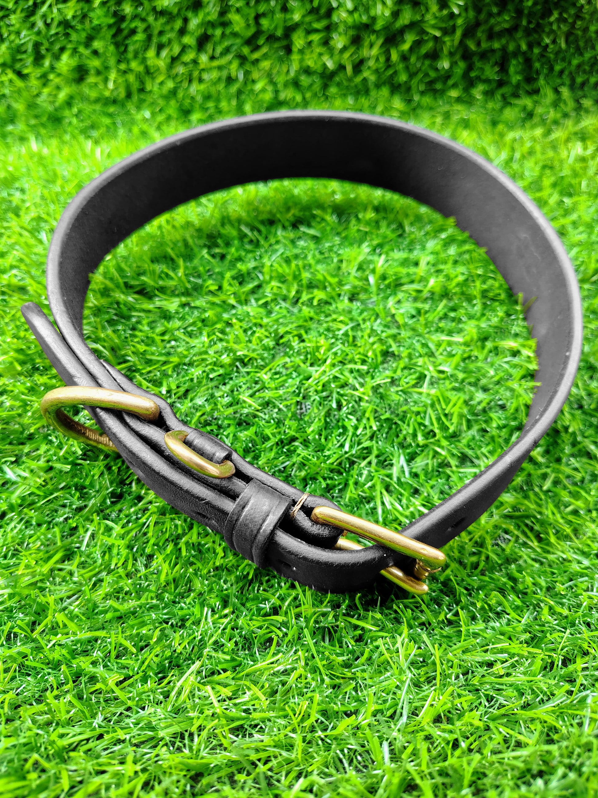 Harness Dog Collar