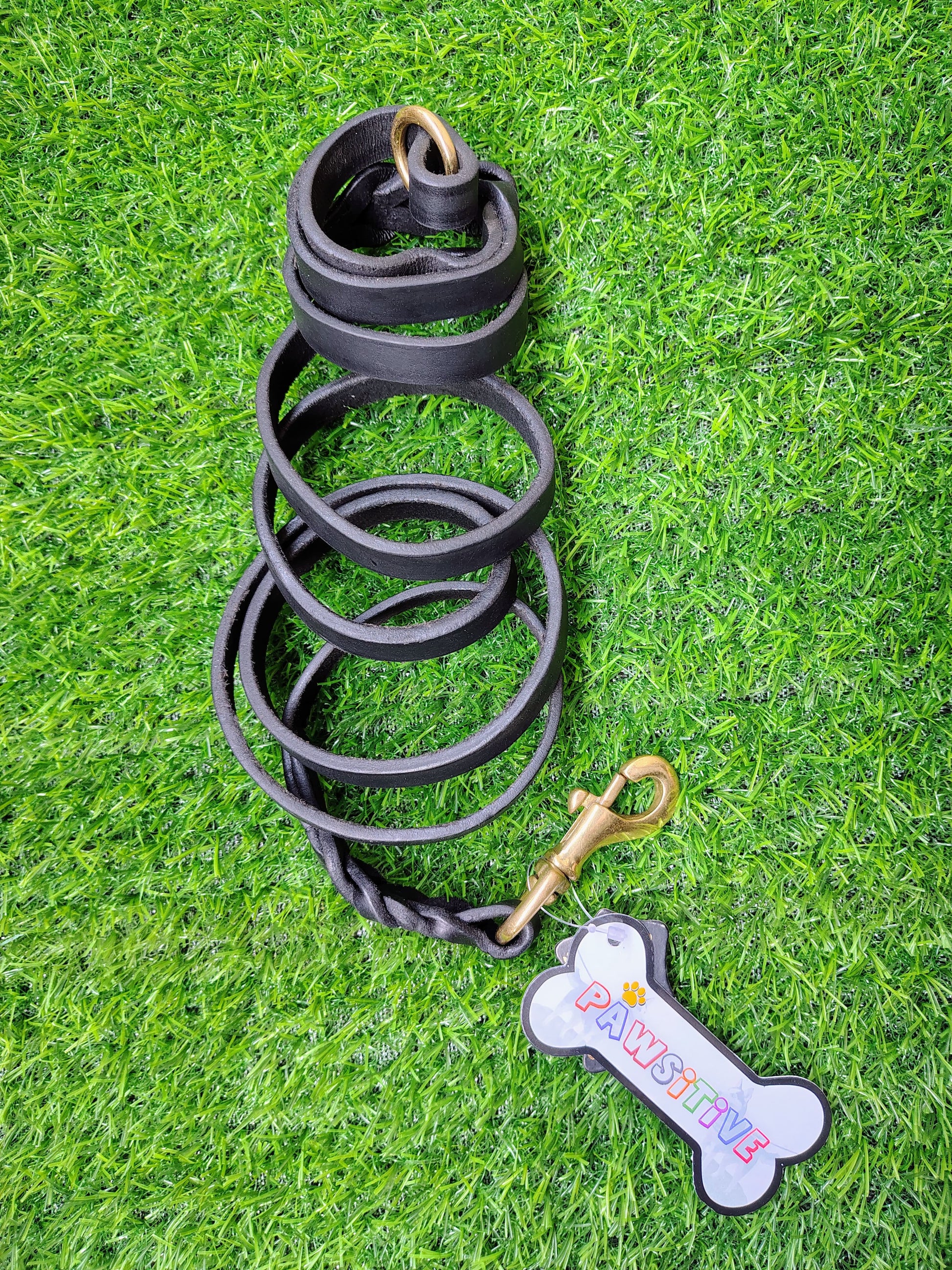 Dog Leash