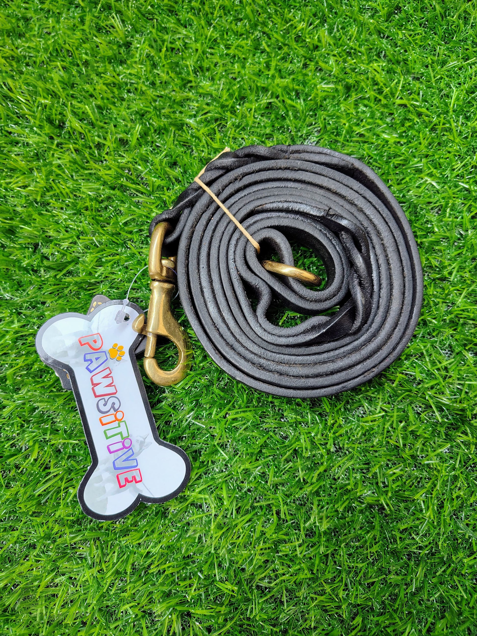 Dog Leash