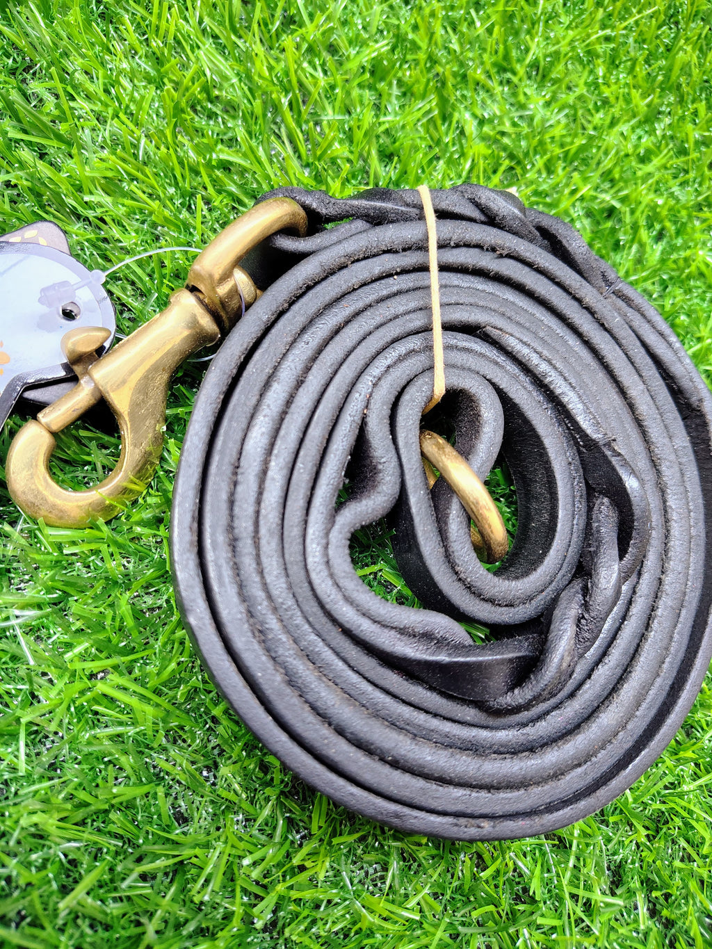 Dog Leash