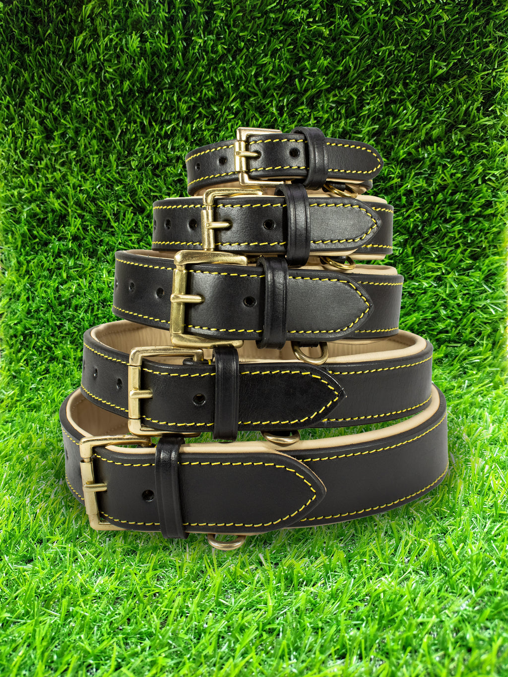 Padded Dog Collar