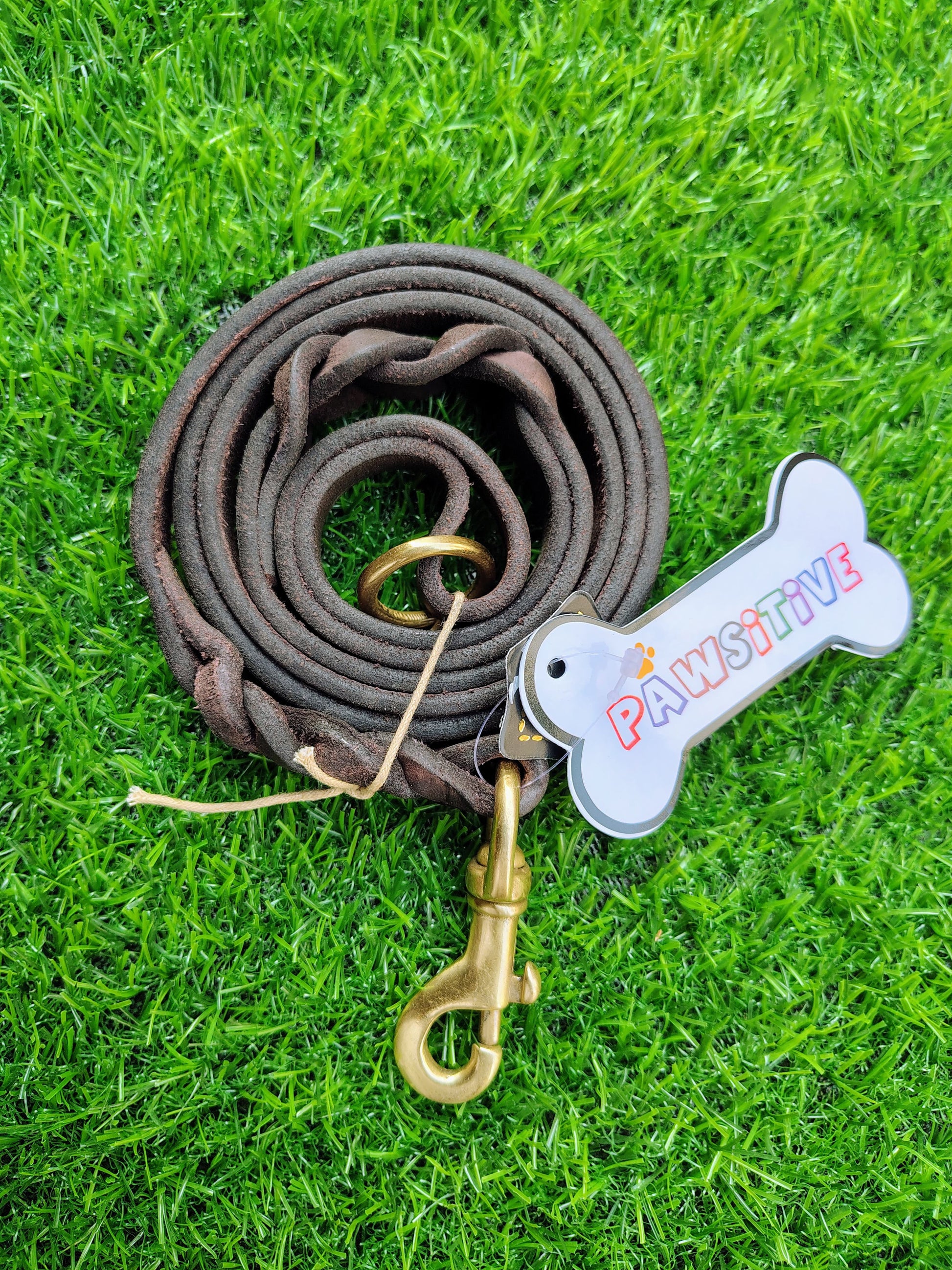 Dog Leash