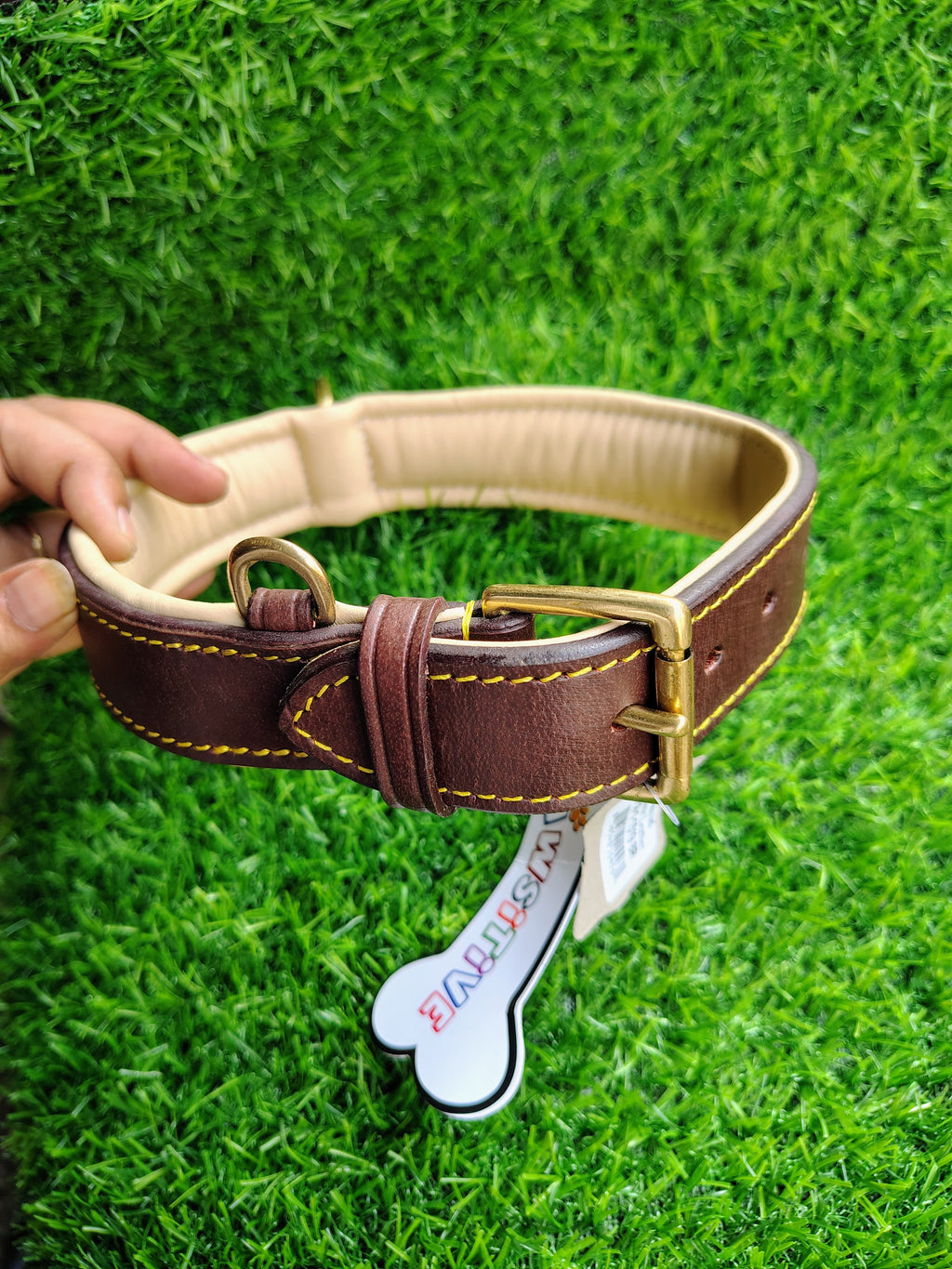 Padded Dog Collar