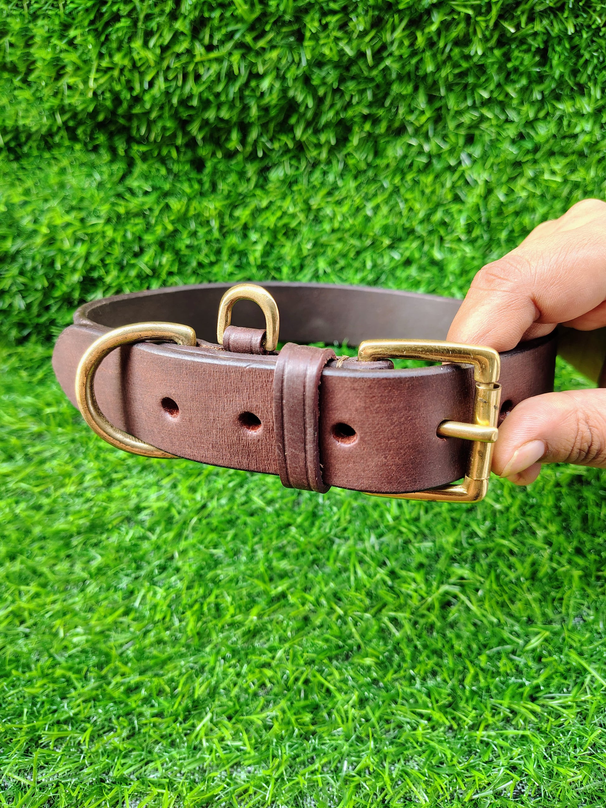Harness Dog Collar
